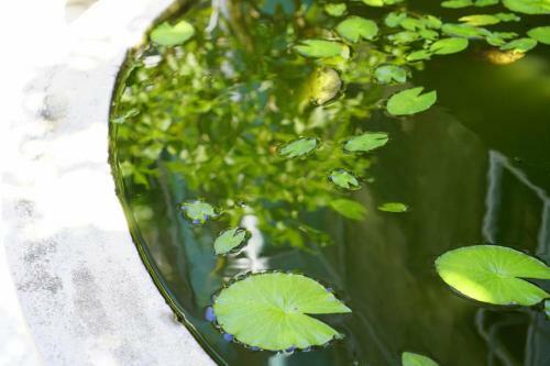 Hotel Minh T� Homestay