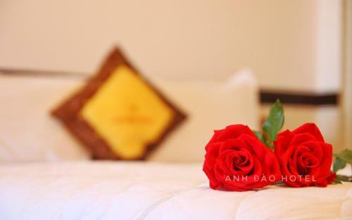 Anh ?�o Hotel