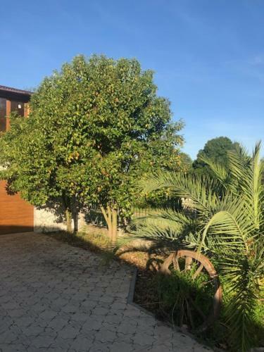 Villa Apsua