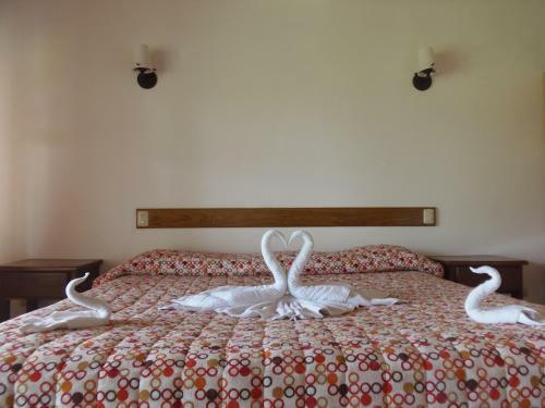 Hotel Termales Del Bosque