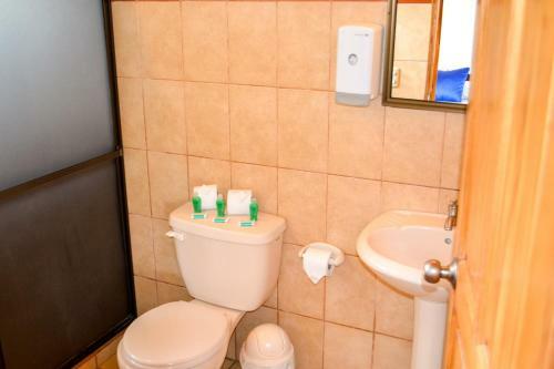 Hotel Termales Del Bosque