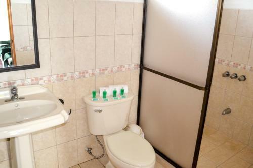 Hotel Termales Del Bosque
