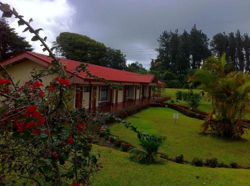 Hotel Termales Del Bosque