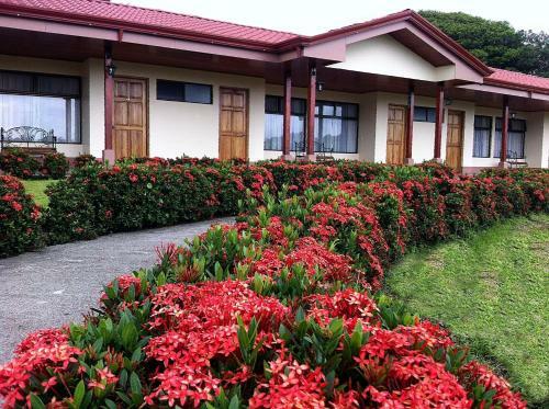 Hotel Termales Del Bosque