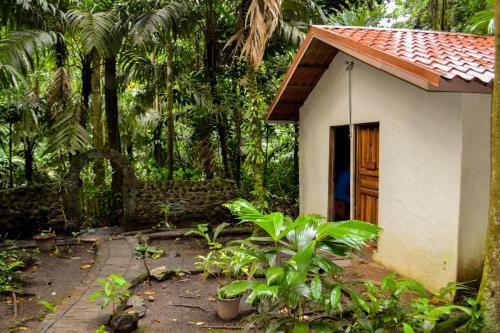 Hotel Termales Del Bosque