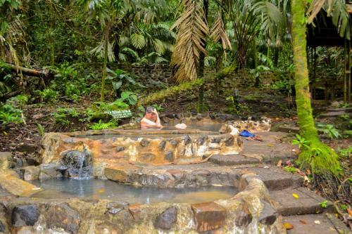 Hotel Termales Del Bosque
