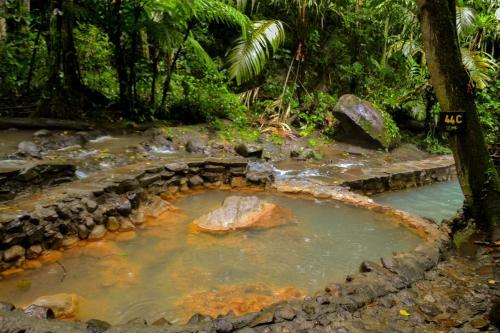 Hotel Termales Del Bosque