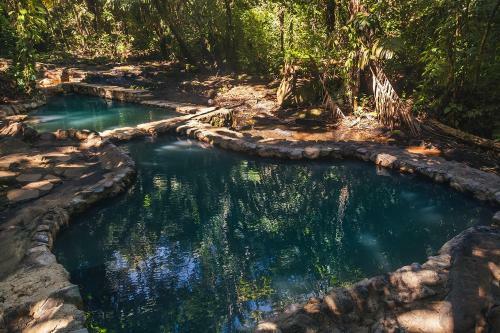 Hotel Termales Del Bosque