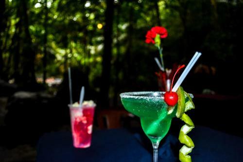Hotel Termales Del Bosque