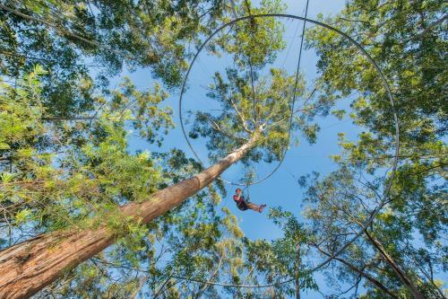 Center Parcs Park Allg�u