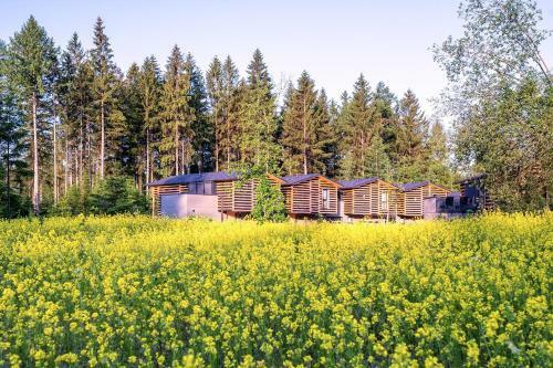 Center Parcs Park Allg�u