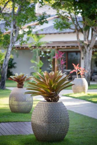 Hotel Campo Bahia