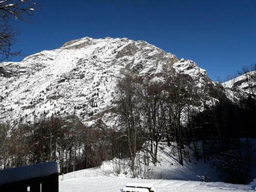 Apartamento Appartement Vue Montagne Proche Venosc 85612
