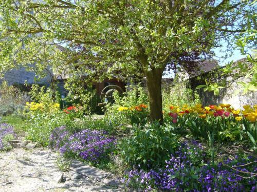 Bed & Breakfast Au Petit C�lin