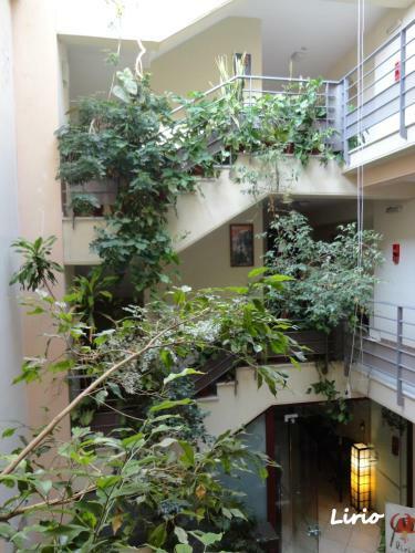 Hostal ??????? ??????/lirio Guest House