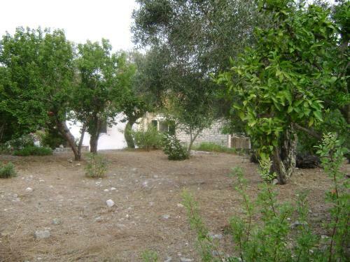 Villa Elvira