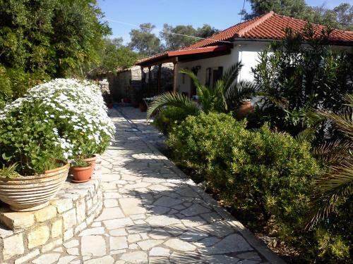 Villa Elvira