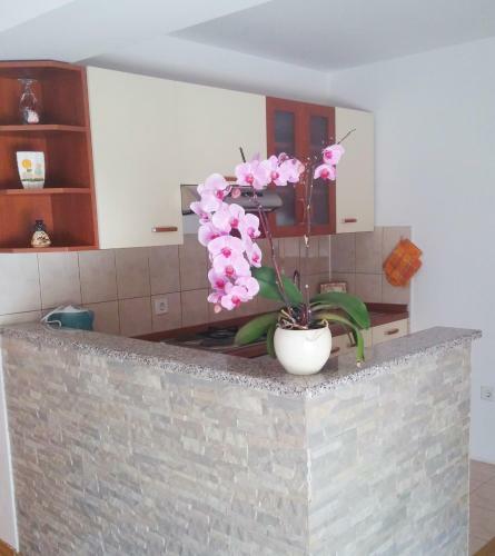 Hostal Guest House Domig