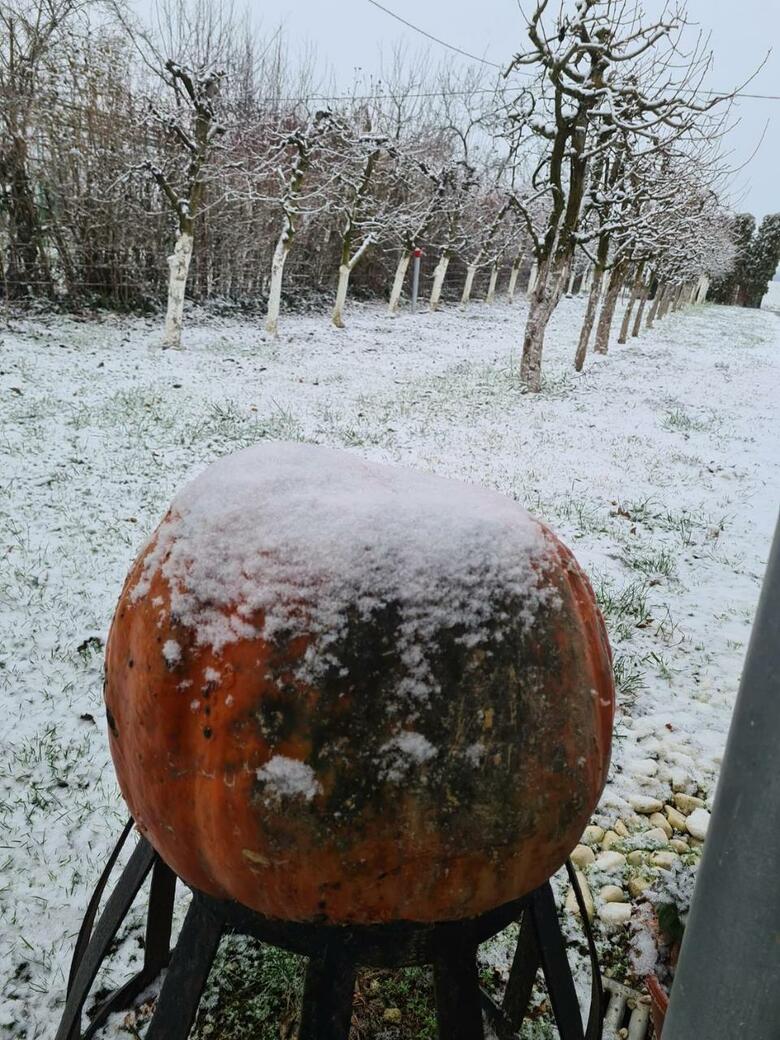 Ladanjska Kuca Maras