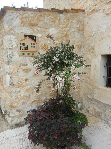 Agroturismo Casa Rural Campillo De Aranda