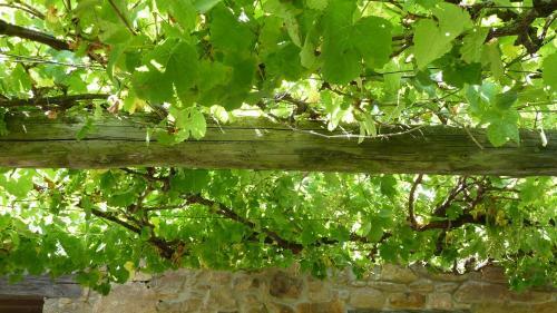 Altamira - Basque Stay