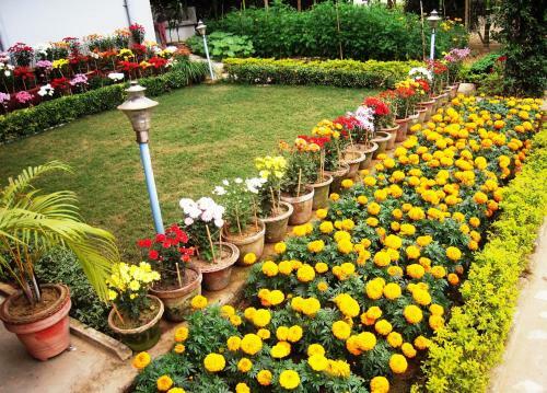 Hostal Rater Tara Diner Rabi Guest House