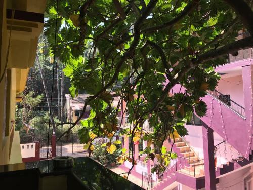 Hostal All Seasons Guest House