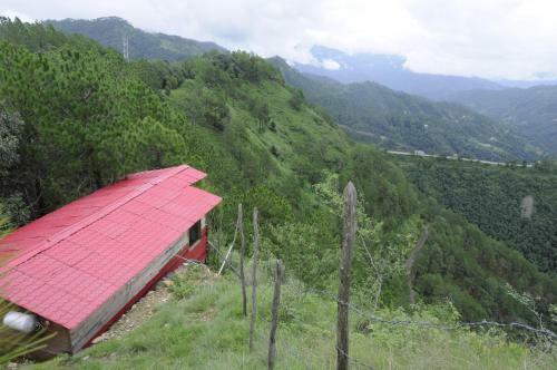 Hotel Aamod At Shoghi