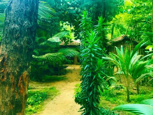 Hotel Nirvana Nature