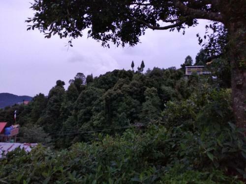 Posada Tibet Homestay