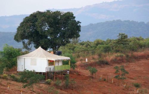 Hotel Mango Forest Agro Tourism