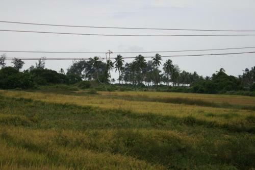 Apartamentos 1 Bhk Luxurious Suite In South Goa