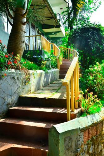 Hotel Wayanad Silver Green Holiday Enclaves