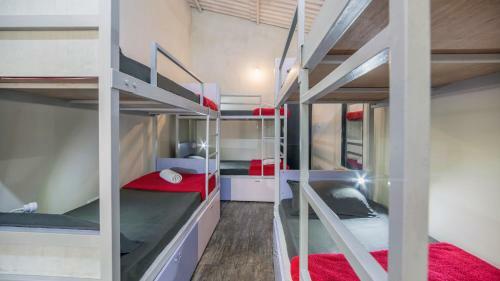 Albergue Zostel Chikmagalur