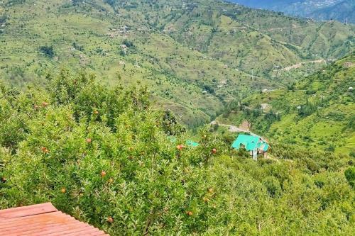 Blissful Experience At Shimla