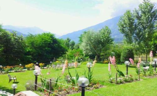 Hotel Forest Hill Resorts