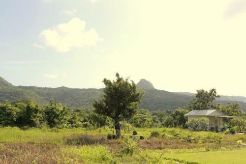 Dia's Farmhouse