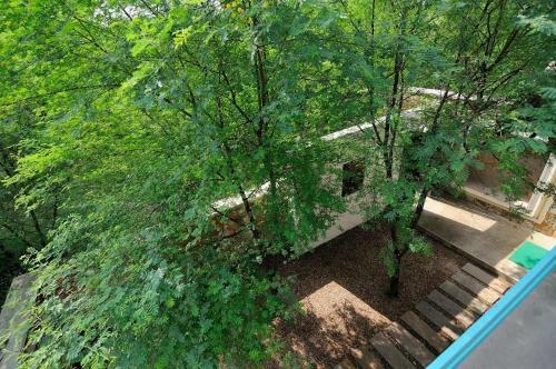 Hotel Trees N Tiger Sariska