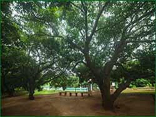 Hotel The Kuttalam Heritage