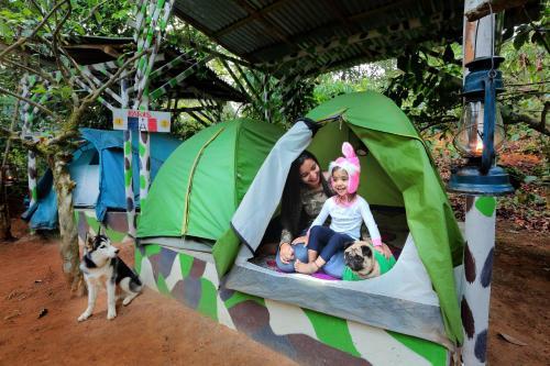 Hotel Evergreen County Coorg