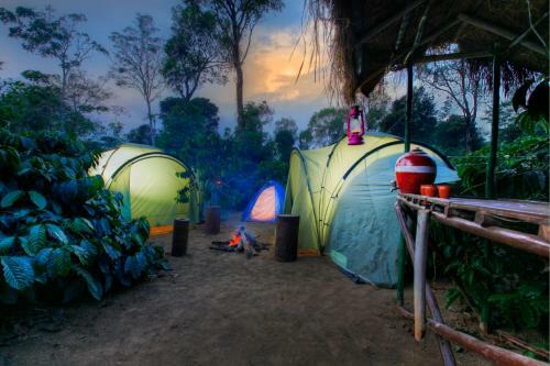 Hotel Evergreen County Coorg