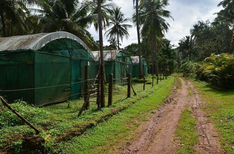 Hostal Mangaal Farmstay Goa