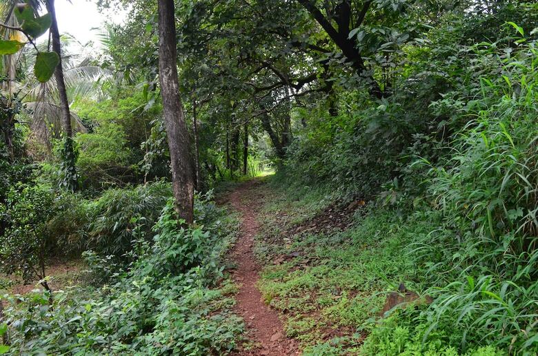Hostal Mangaal Farmstay Goa