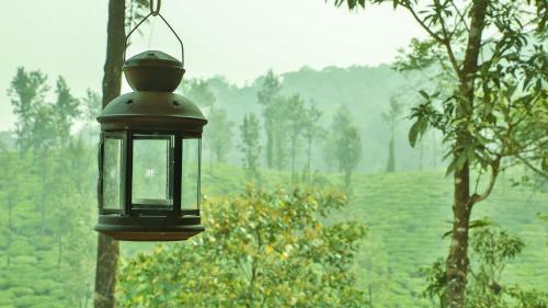 Bed & Breakfast Green Garden Deluxe Room