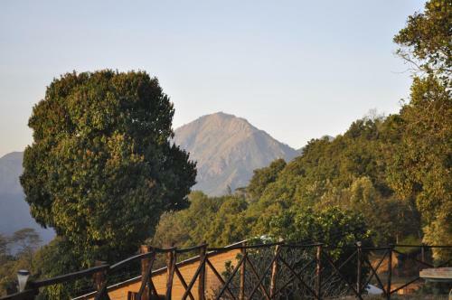 Agroturismo O'land Plantation