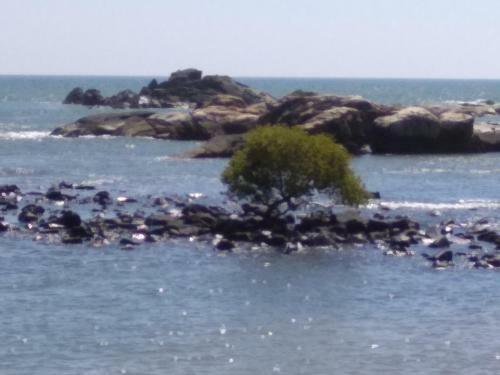 Colomb Bay Cottages