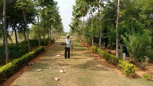 Villa 2 Bhk Bungalow In Orchha