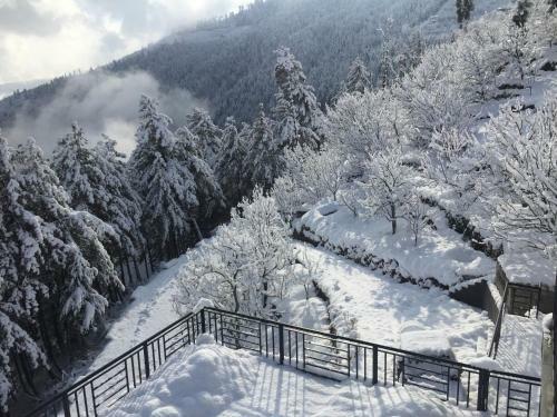 Villa Zostel Homes Kotgarh (shimla)