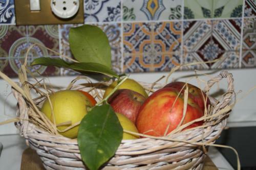 Hostal Villa Belvedere