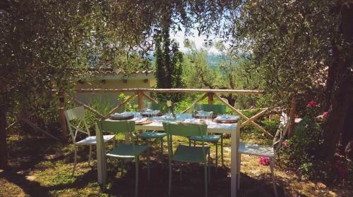 Agroturismo La Collina Degli Ulivi